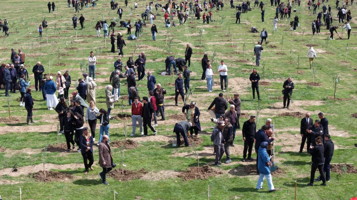 Kırıkkale Belediyesi’nden Geleceğe Nefes: 2 Bin Fidan