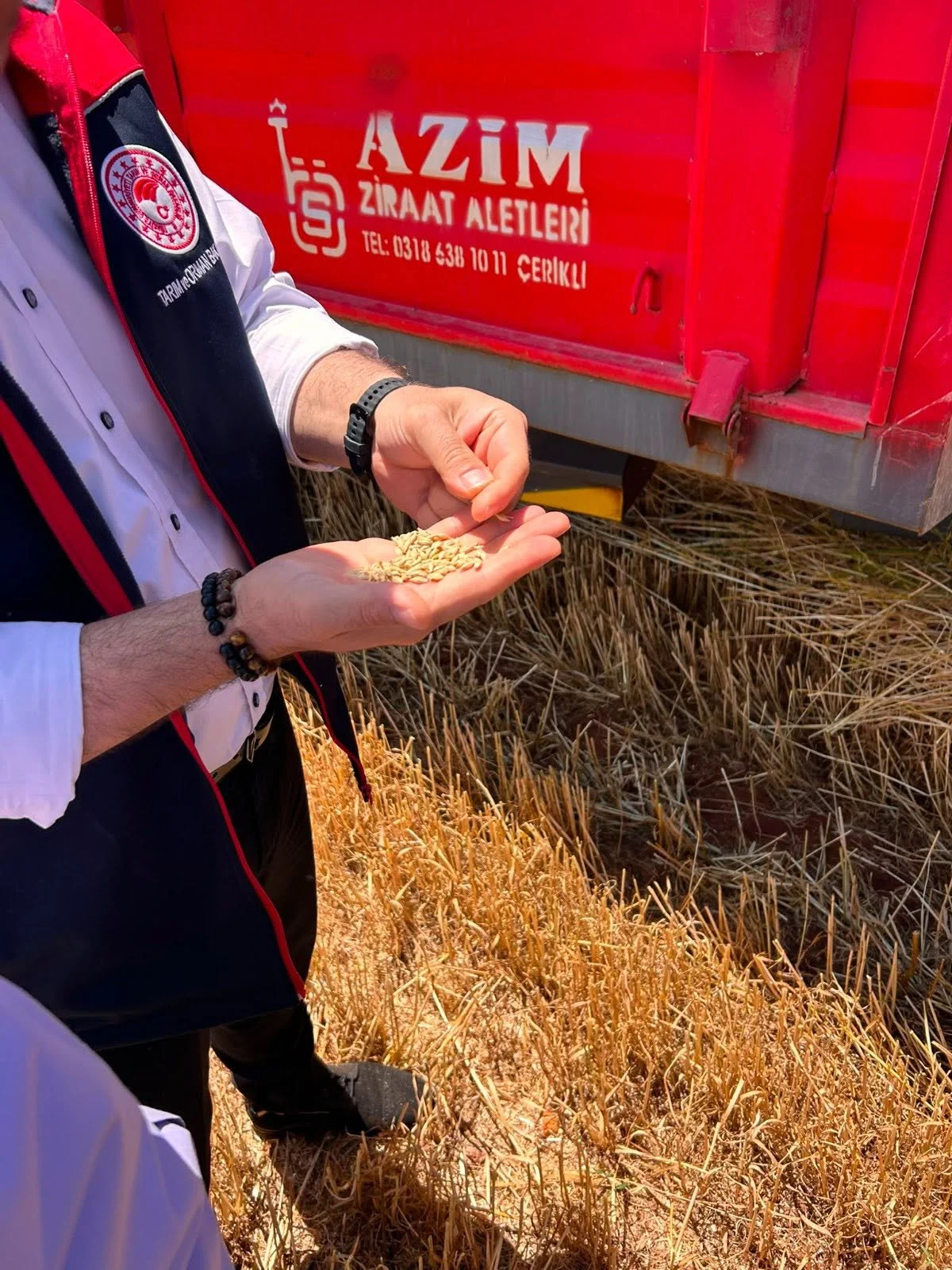 Kırıkkale’de Hasat Heyecanı: Arpa Hasadı Başladı