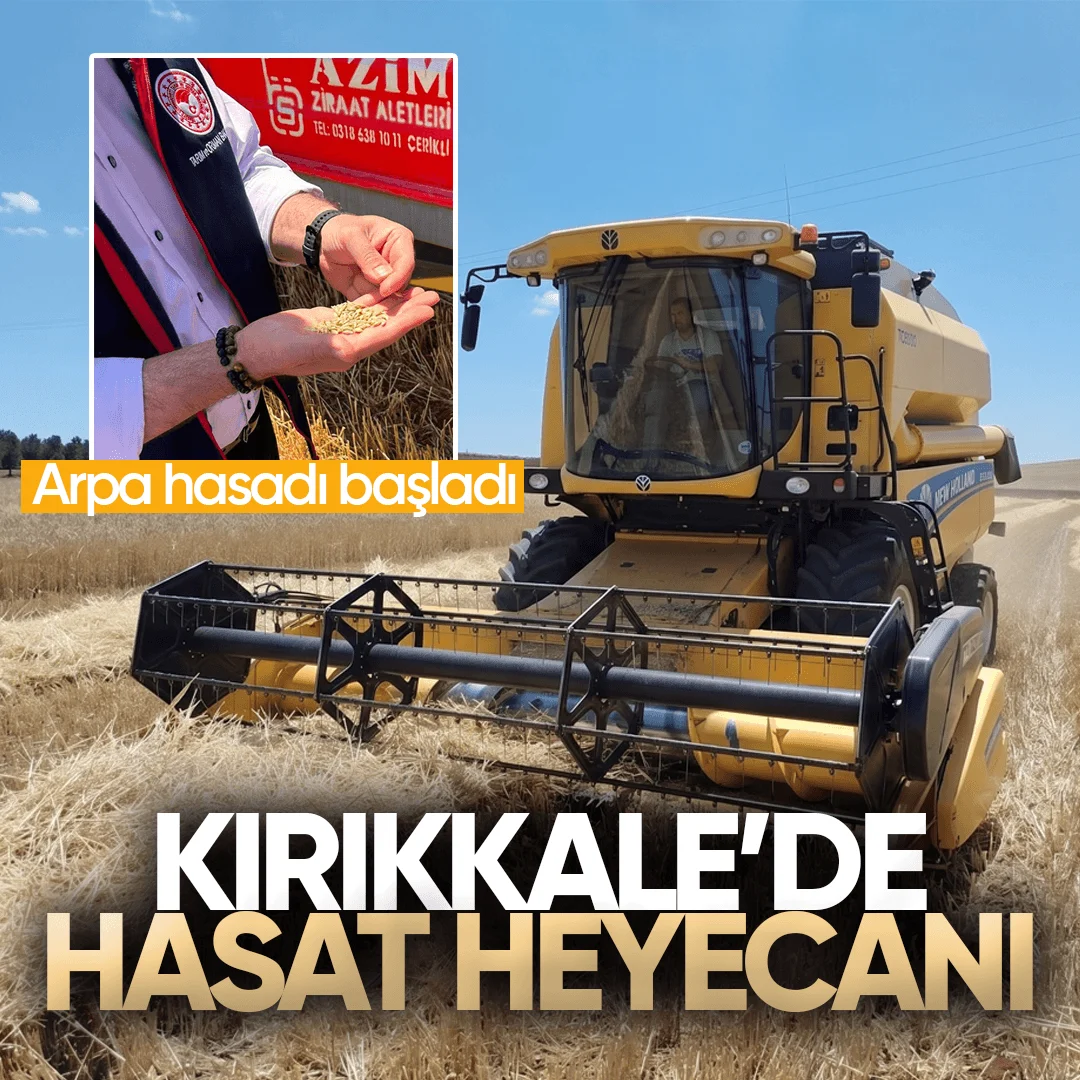 Kırıkkale’de Hasat Heyecanı: Arpa Hasadı Başladı