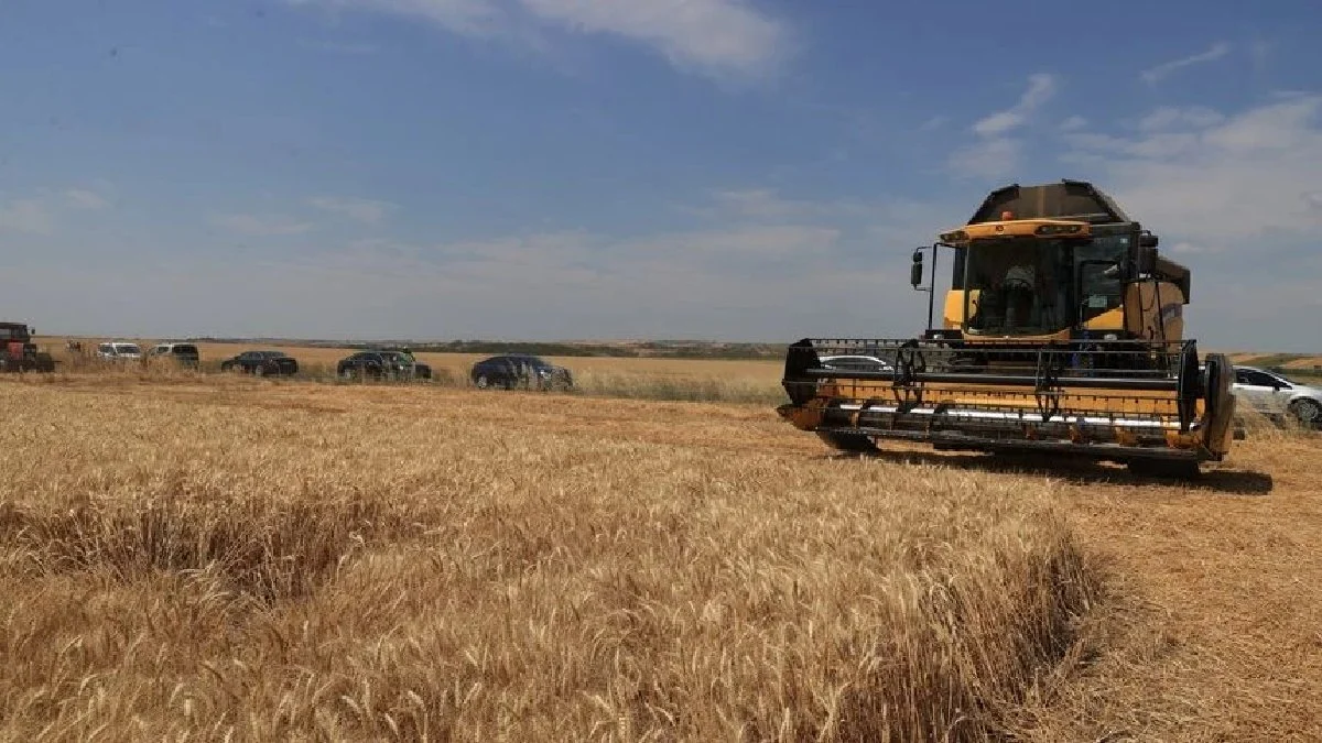 TMO 2026 Sezonu Hububat Fiyatlarını Açıkladı: Kırıkkaleli Çiftçilerin Kazanacağı Net Rakamlar Belli Oldu!