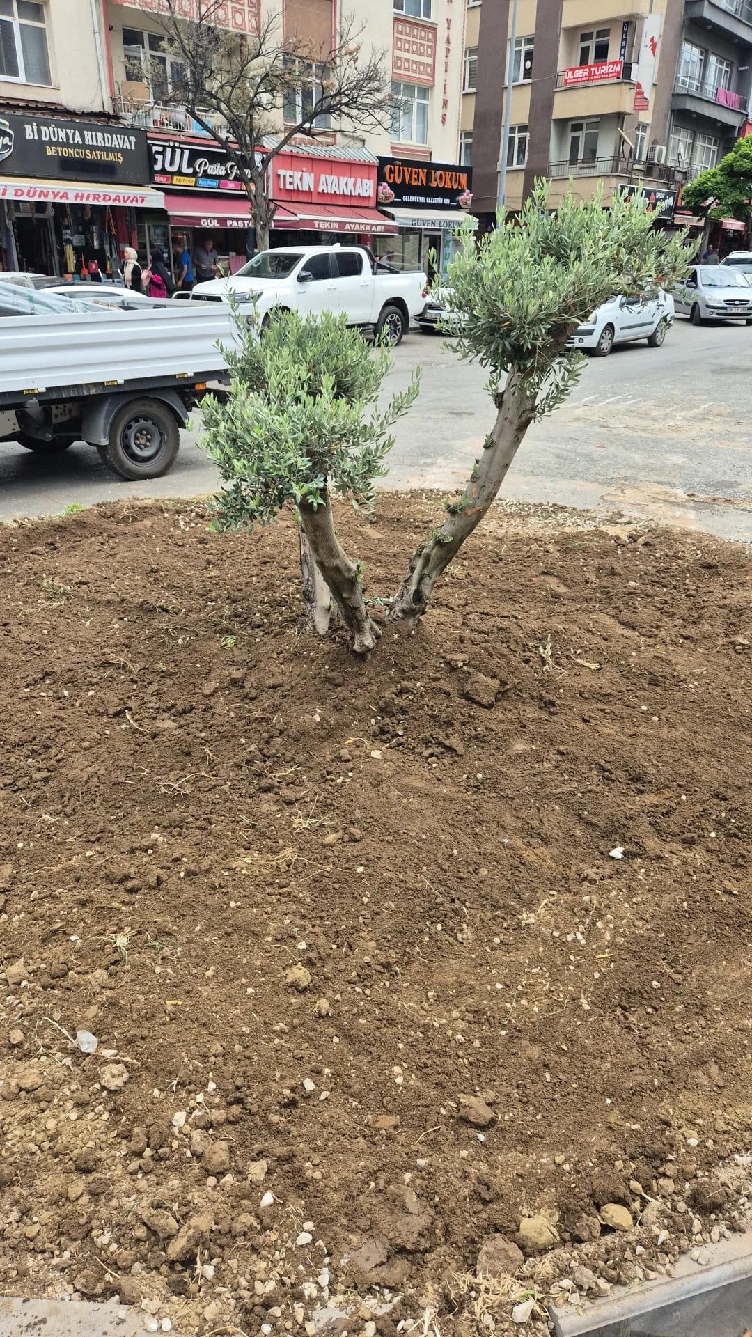 Kırıkkale Belediyesi’nden Kent Genelinde Kavşaklara Kapsamlı Peyzaj Çalışması