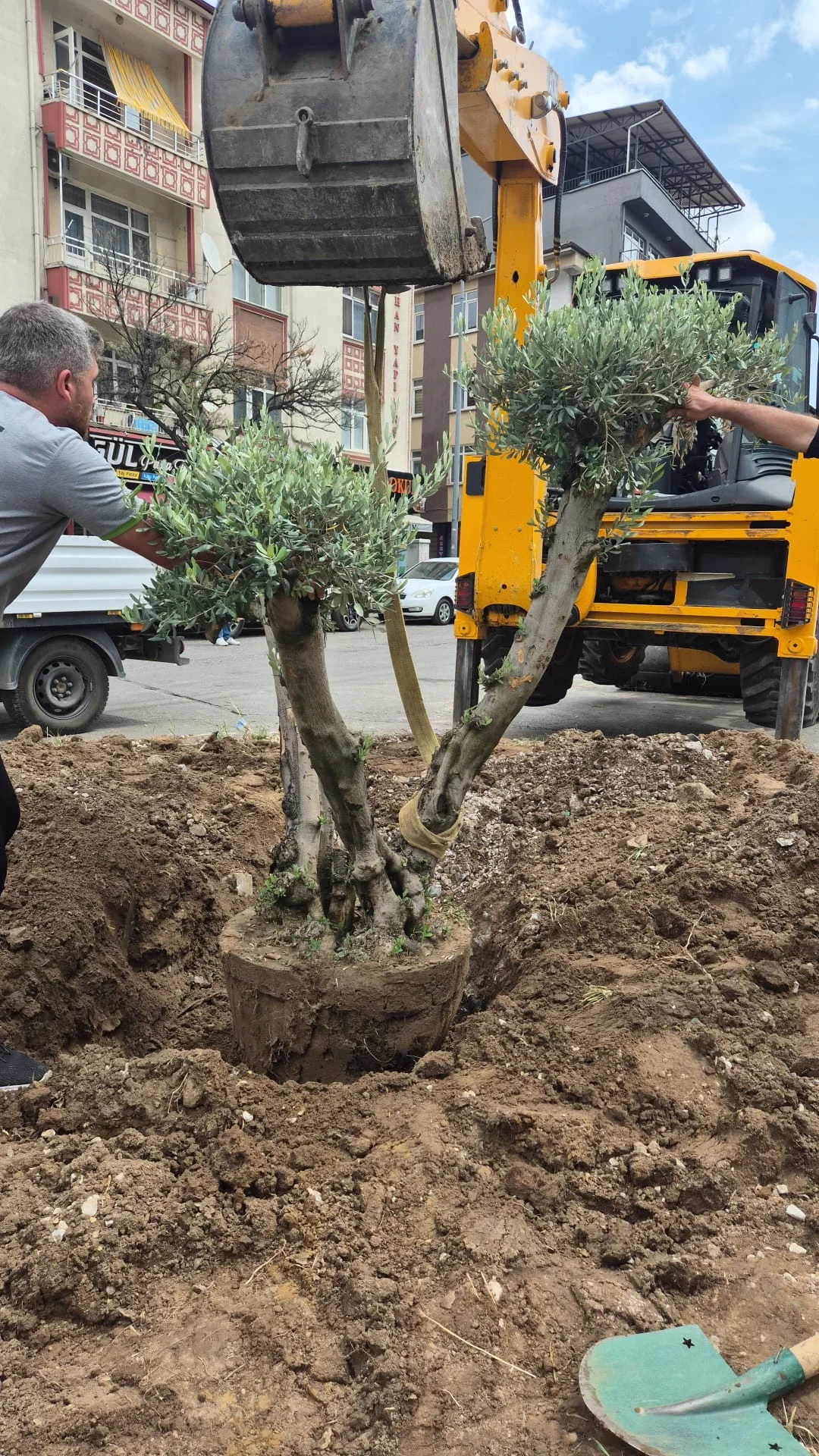 Kırıkkale Belediyesi’nden Kent Genelinde Kavşaklara Kapsamlı Peyzaj Çalışması