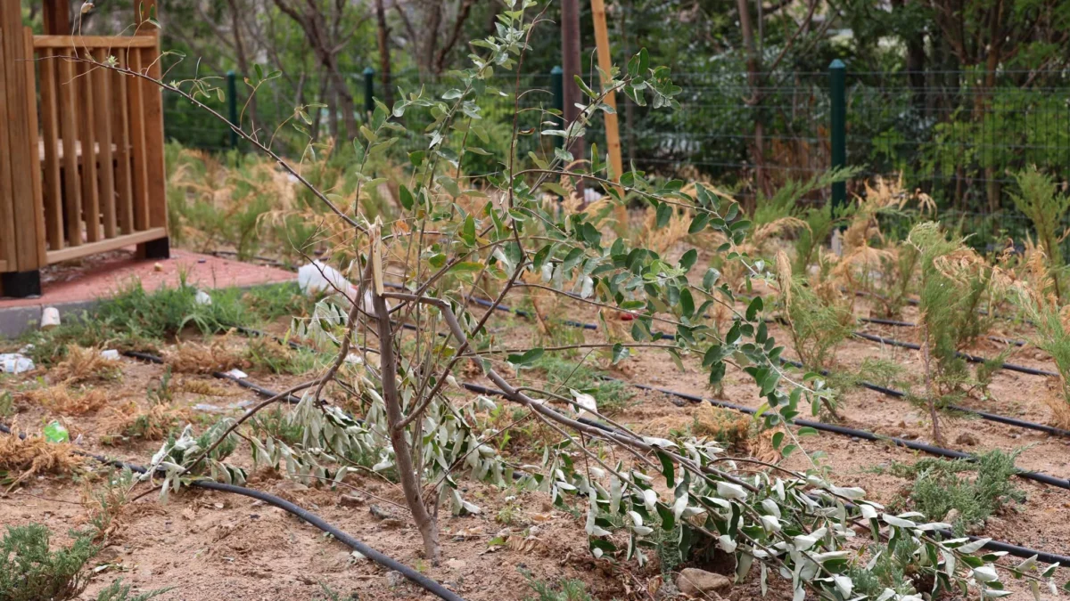 Kırıkkale Belediyesi’nden Sitem: “Henüz Açılmayan Park Çöpe Teslim Edildi”