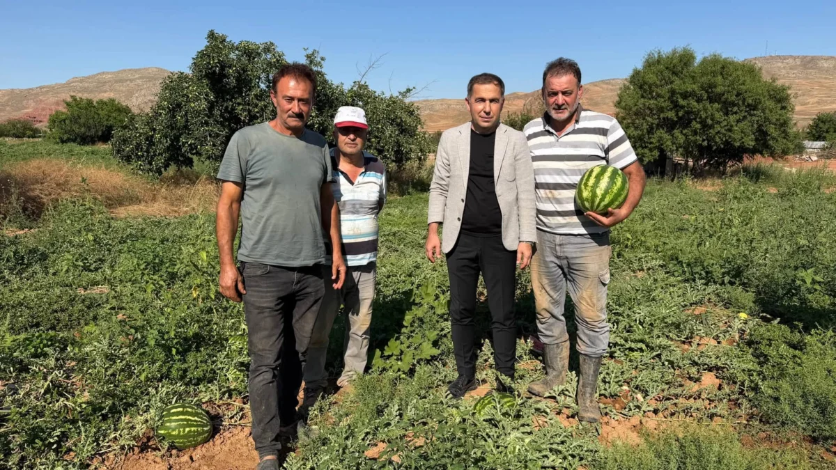 Kırıkkale’de İlk Karpuz Hasadı Başladı