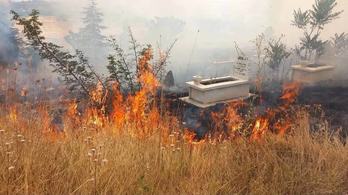 Başkan Çetiner’den Yeşilyazı Yangını Açıklaması: “İlk Andan İtibaren Canla Başla Mücadele Ettik”