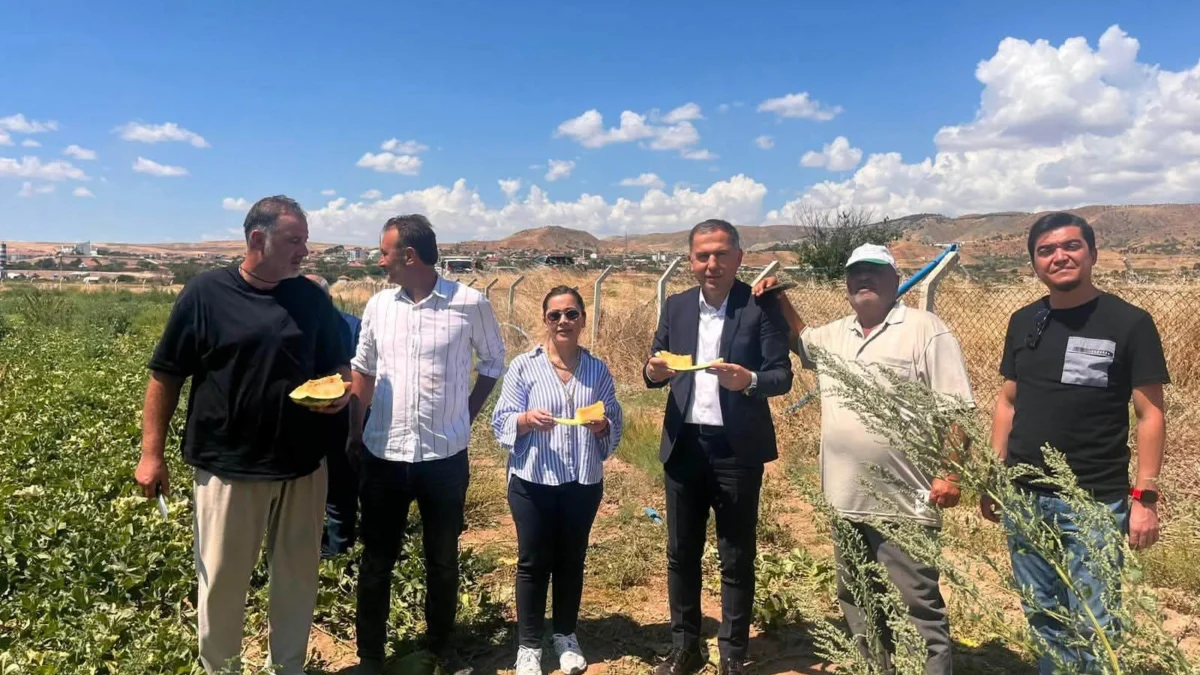 Delice Kara Kavunu’nda Bilimsel Hasat: İlk Sonuçlar Yüz Güldürdü