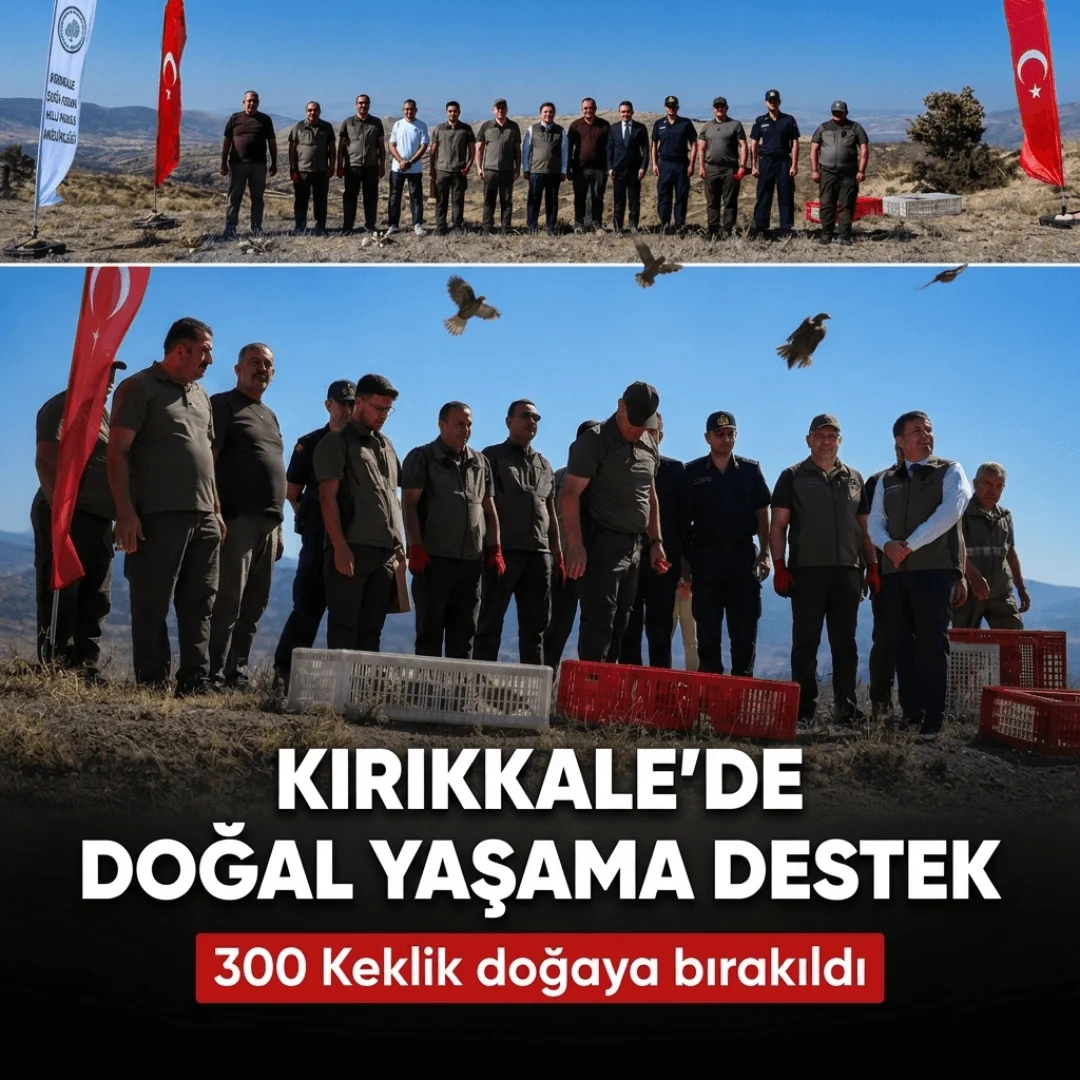 Kırıkkale’de Doğal Yaşama Destek: 300 Keklik Doğayla Buluştu