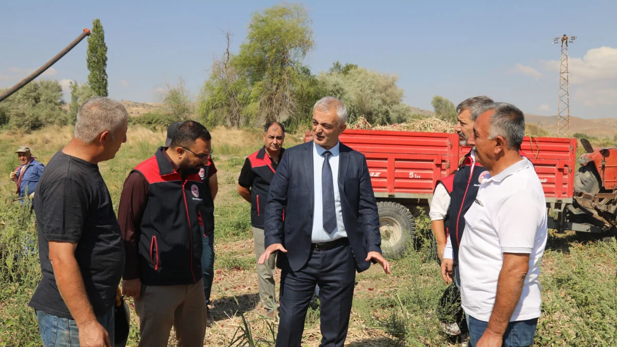 Kırıkkale’nin Coğrafi İşaretli Kılıçlar Soğanı Hasadı Gerçekleştirildi