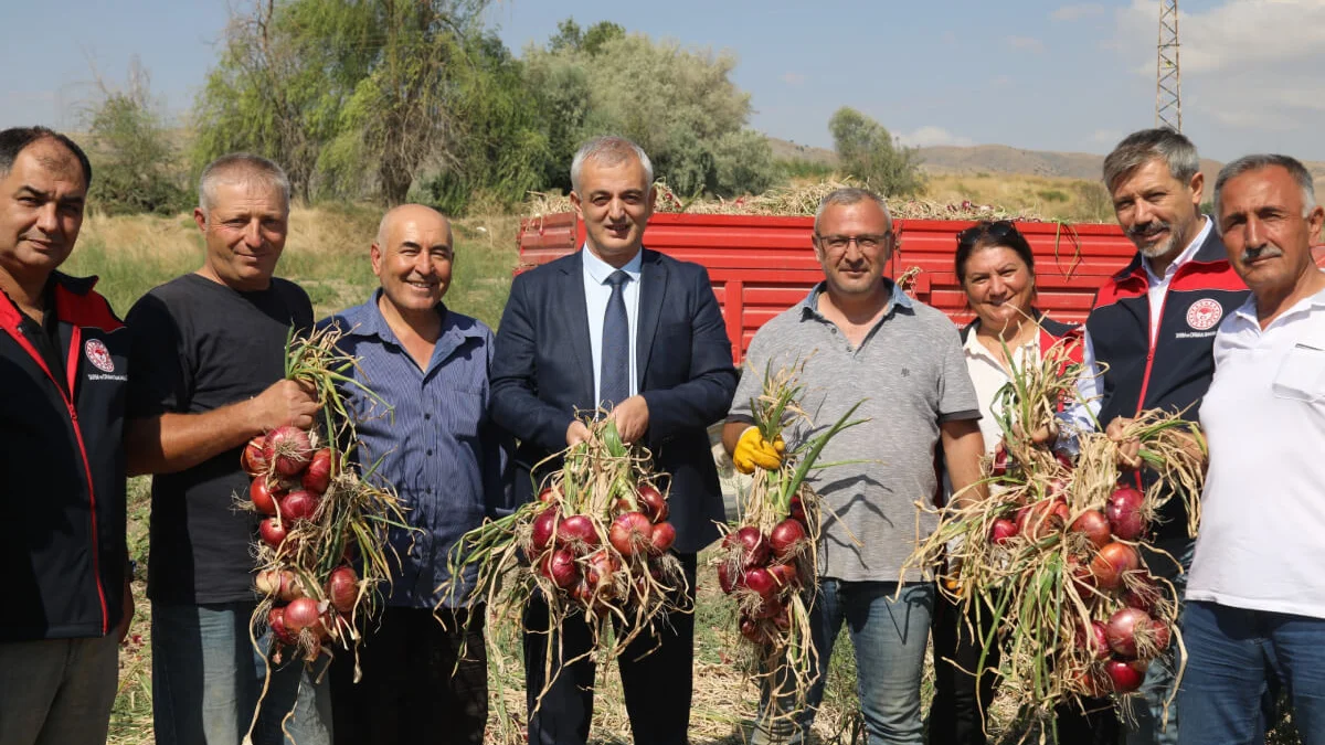 Kırıkkale’nin Coğrafi İşaretli Kılıçlar Soğanı Hasadı Gerçekleştirildi