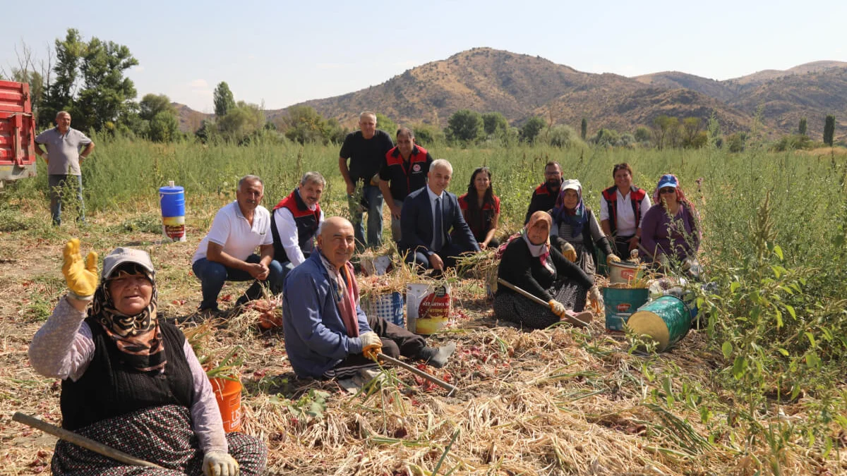 Kırıkkale’nin Coğrafi İşaretli Kılıçlar Soğanı Hasadı Gerçekleştirildi