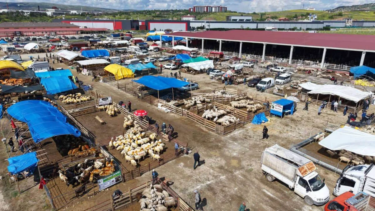 Kırıkkale Hayvan Pazarı Şap Hastalığı Nedeniyle Kapatıldı