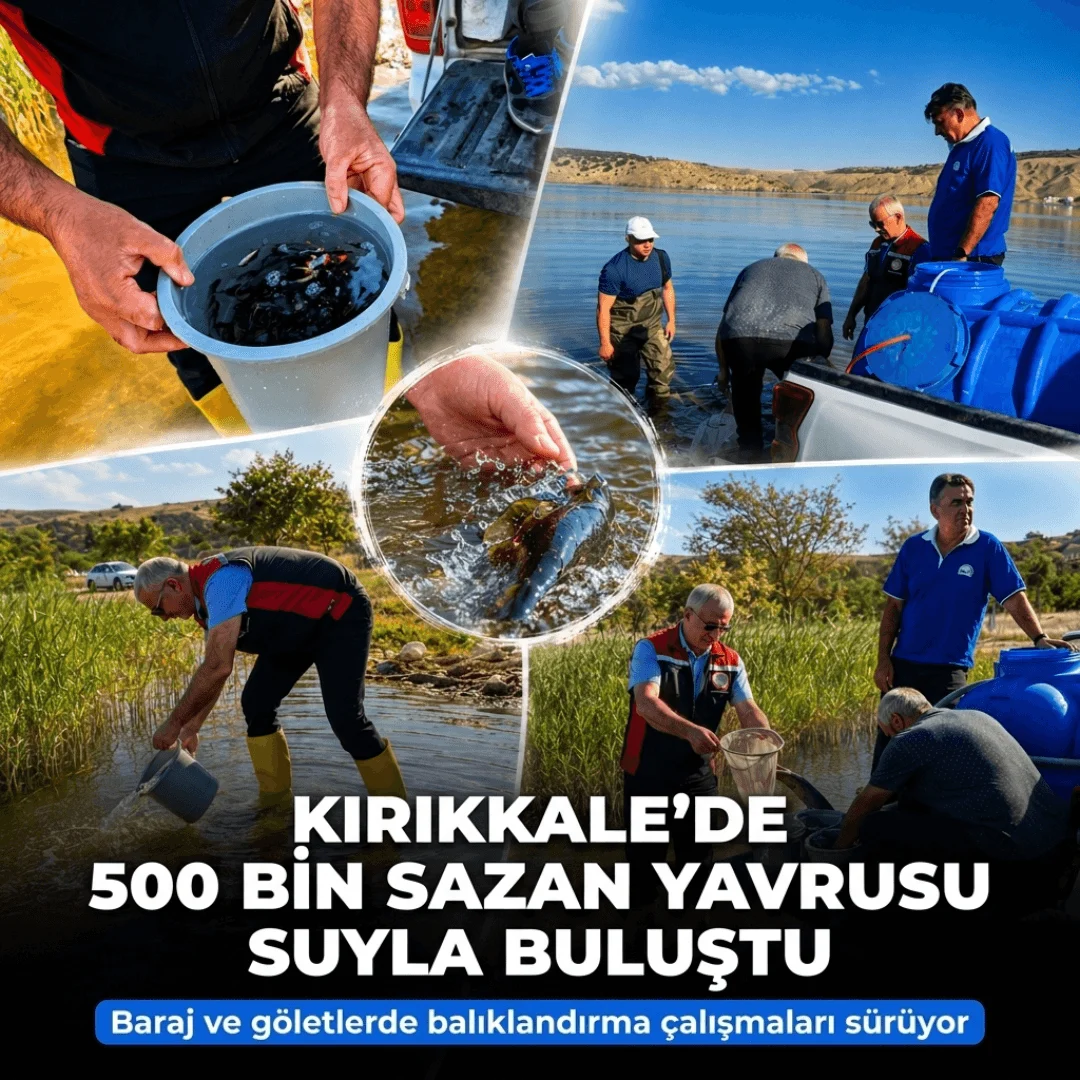 Kırıkkale’de Su Kaynaklarına 500 Bin Sazan Yavrusu Bırakıldı