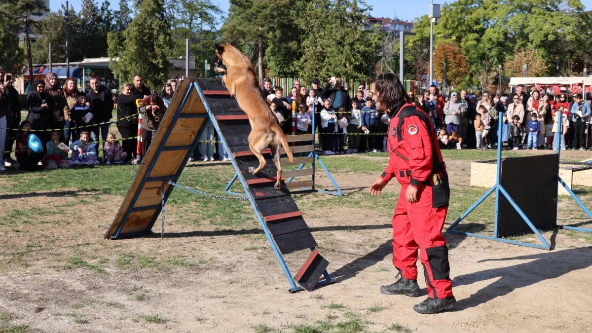 Kırıkkale Belediyesi’nden Hayvan Sevgisi Dolu Etkinlik: Arama Kurtarma Köpekleri Hayran Bıraktı