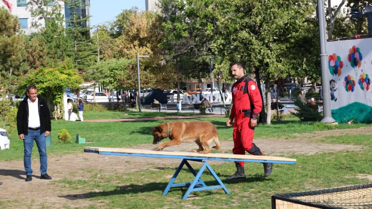 Kırıkkale Belediyesi’nden Hayvan Sevgisi Dolu Etkinlik: Arama Kurtarma Köpekleri Hayran Bıraktı