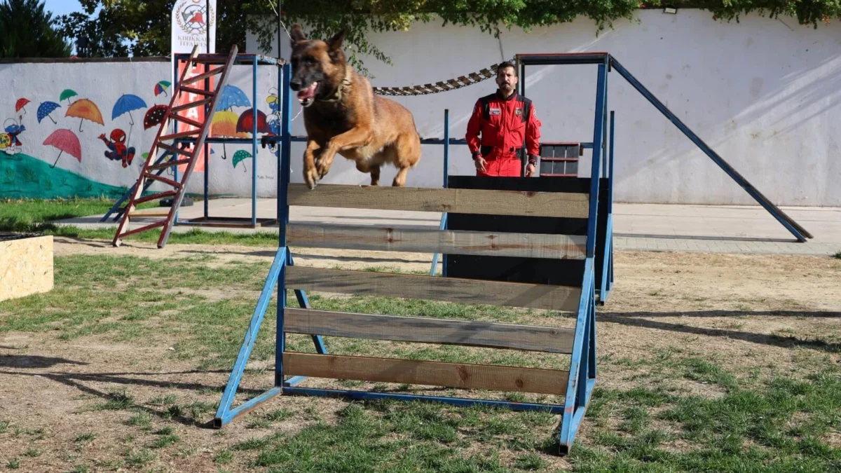 Kırıkkale Belediyesi’nden Hayvan Sevgisi Dolu Etkinlik: Arama Kurtarma Köpekleri Hayran Bıraktı