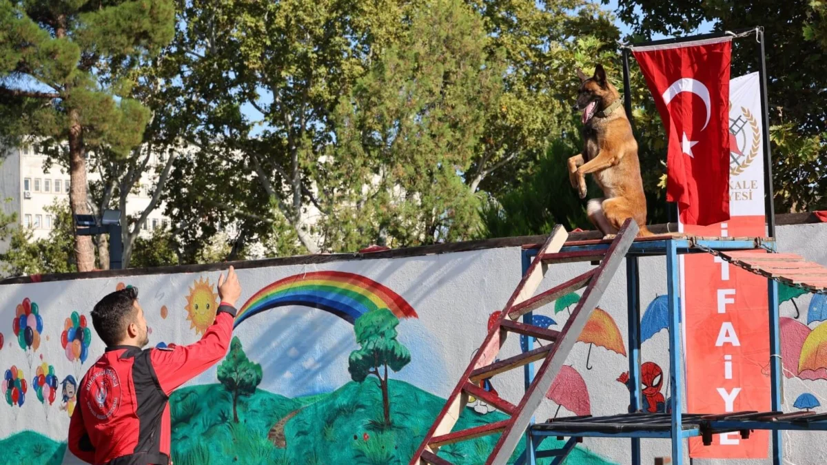 Kırıkkale Belediyesi’nden Hayvan Sevgisi Dolu Etkinlik: Arama Kurtarma Köpekleri Hayran Bıraktı