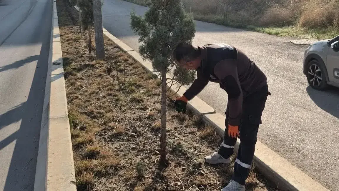 Yahşihan’da Yeşil Alanlar ve Caddeler Yenileniyor